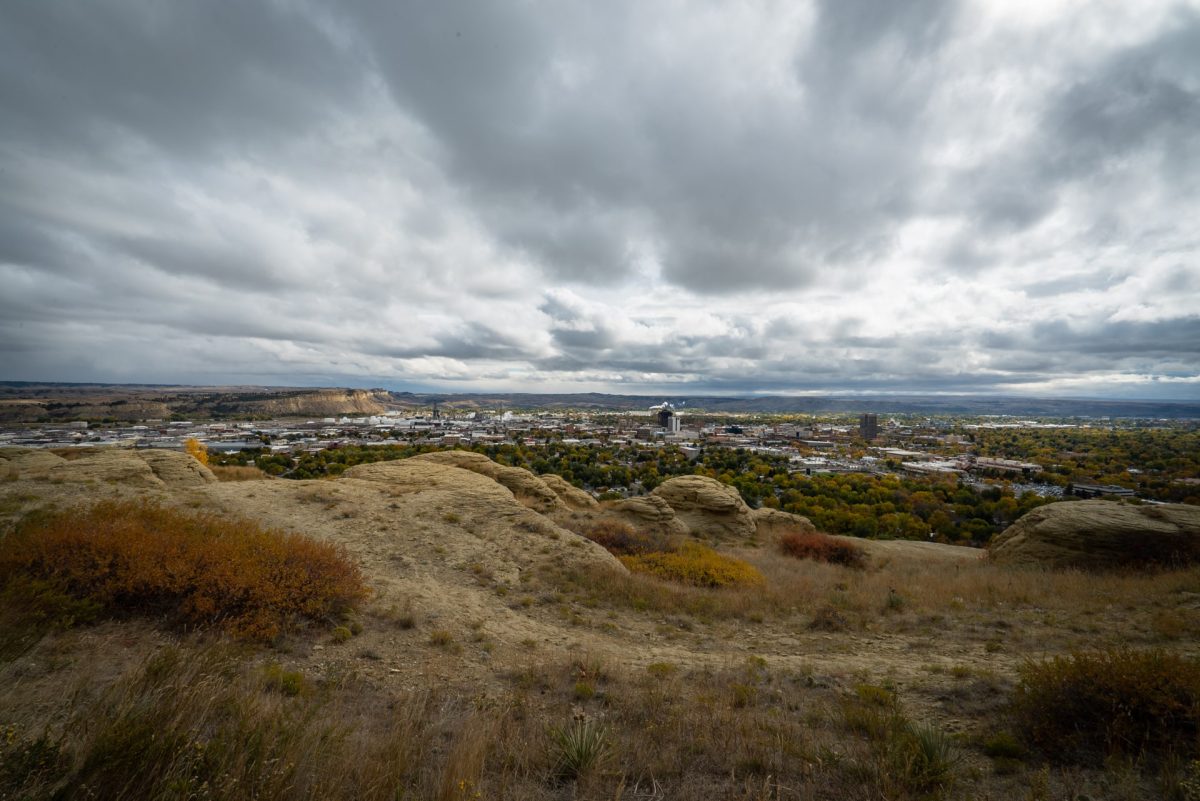 View of Billings Montana from the Rim